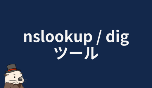 nslookup/digツール