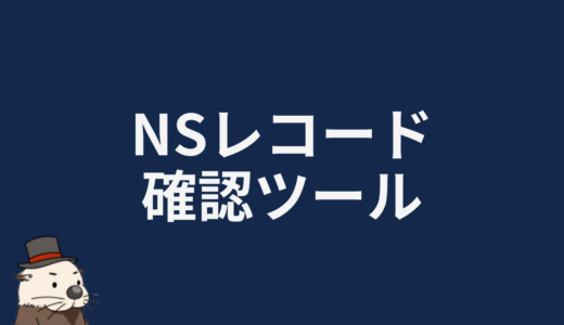 NSレコード確認ツール