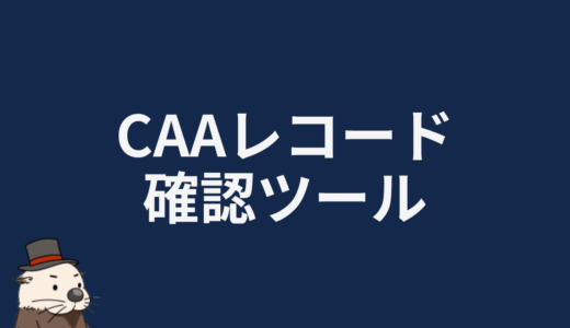 CAAレコード確認ツール