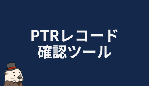PTRレコード確認ツール