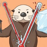 ストーブと氷を持ち暴れる温度計の前に立つラッコ