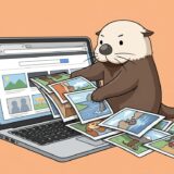 ブラウザ画面から写真を引っ張り出すラッコ