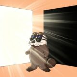 白と黒のパネルをサングラスを重ねて見比べるラッコ