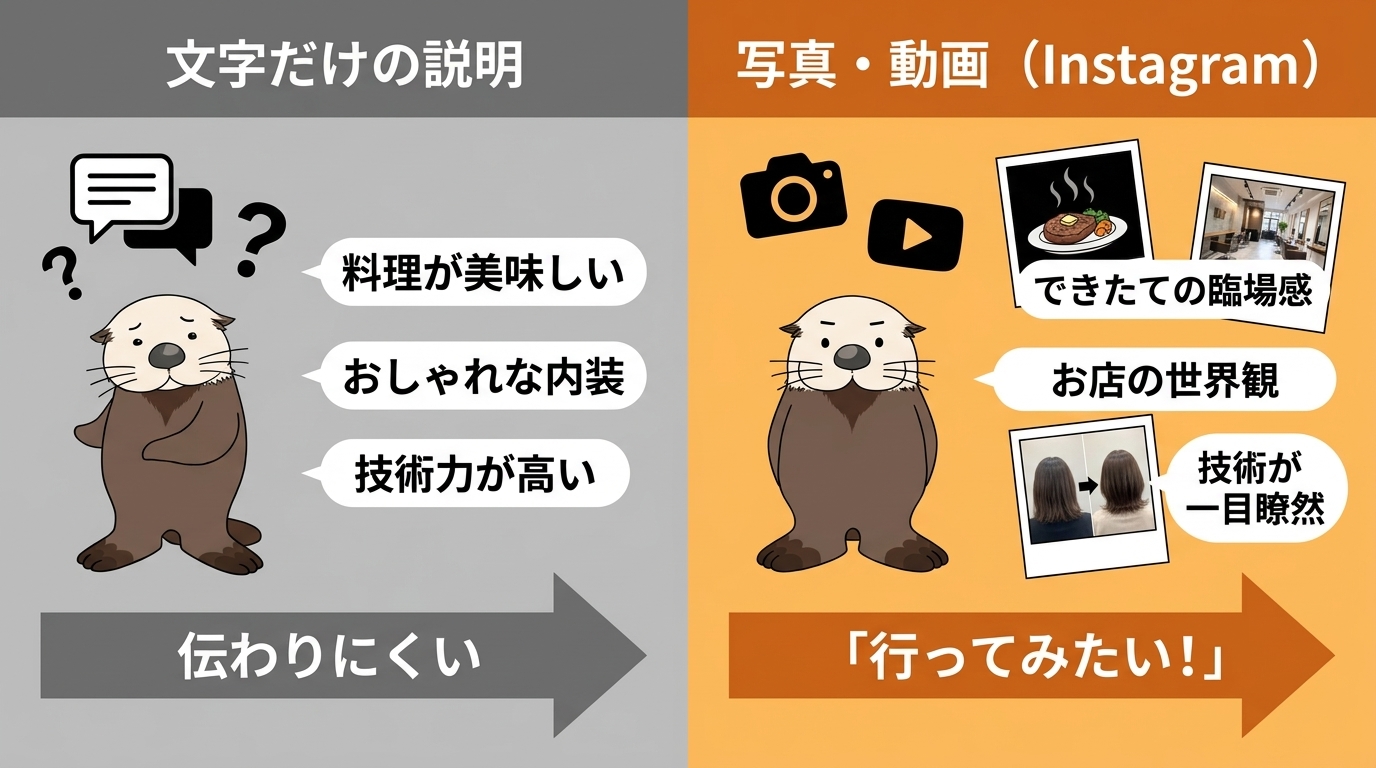 文字だけの説明と写真・動画で伝わり方の違いを比較した図解